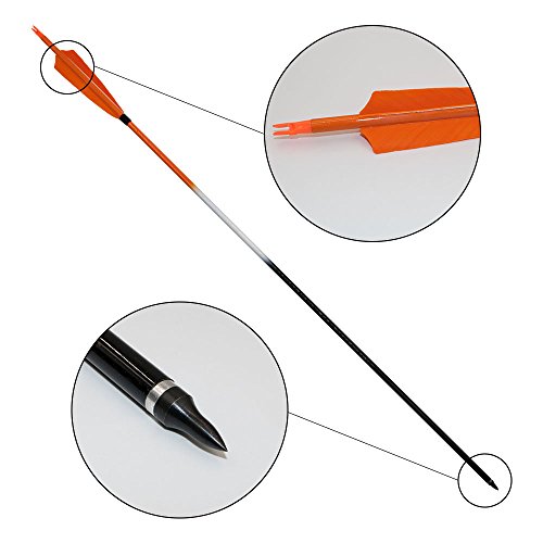 [6 Pack] ARCHERY SHARLY 31" Carbon Archery Practice Arrows 5" Orange Turkey Feather Fletching for Targeting Hunting Recurve & Long Bow - Thumbnail 3