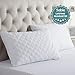 Sable Pillows for Sleeping, 2 Pack Goose Down Alternative Quilted Bed Pillow, FDA Registered, Super Soft Plush Fiber Fill, Adjustable Soft, Relief for Neck Pain, Queen Size, 30×20 inch