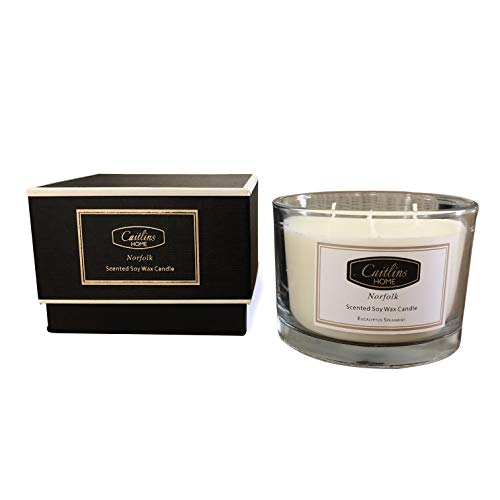 Caitlins Home Aromatherapy Stress Relief 3 Wick Candle Eucalyptus