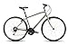 Raleigh Bikes Detour 3 XL/21thumb 1