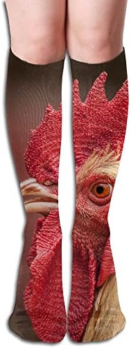 Unisex Long Stocking Cock Rooster Warm Long Hose Knee High Socks For Men Womens