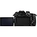 Panasonic Lumix DC-GH5 Mirrorless Micro Four Thirds Digital Camera (Body Only) with 32GB Memory Card, Case, and Pixi-Starter Bundle
