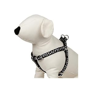 Product image for barcode 800443111901