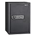 Amazon Basics Steel Home Security Safe with Programmable Biometric Fingerprint Electronic Lock, Secure Cash, Jewelry, ID Documents, 1.8 Cubic Feet, 13.8 x 13 x 19.7 Inches, Black