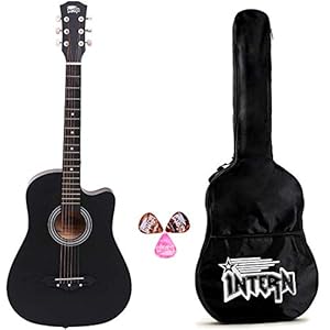 Intern 38C Ebony Wood Cutaway Design Acoustic Guitar with Picks And Carry Bag (Black)
