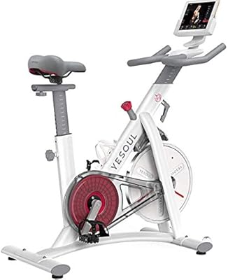 pulse cycle spin bike