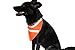 Dog Reflective Gear, Walk your Dog Safely with this Blaze Orange Bandana with White Reflective Stripes, Visible at Night for your Dog's Protection, Easy to Use, Comfortable for your Pet, The Safety Scarf Your Dog Will Love To Wear (Large)