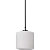 Nuvo Lighting 60/8036 Warren - 1 Light Pendant-10 Inches Tall and 8 Inches Wide