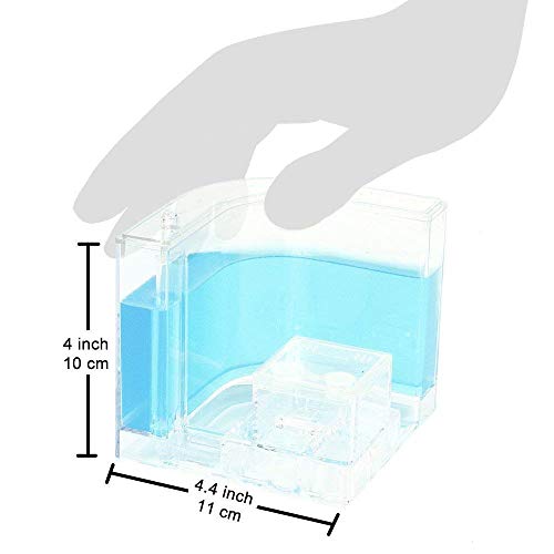 YueYueZouÂ® Ant Factory/Ant Farm