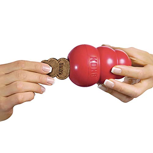 kong snacks medium