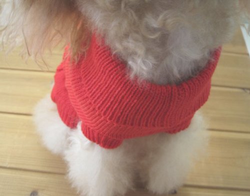Tangpan Turtleneck Classic Straw-Rope Pet Dog Sweater Apparel (Red,XL)