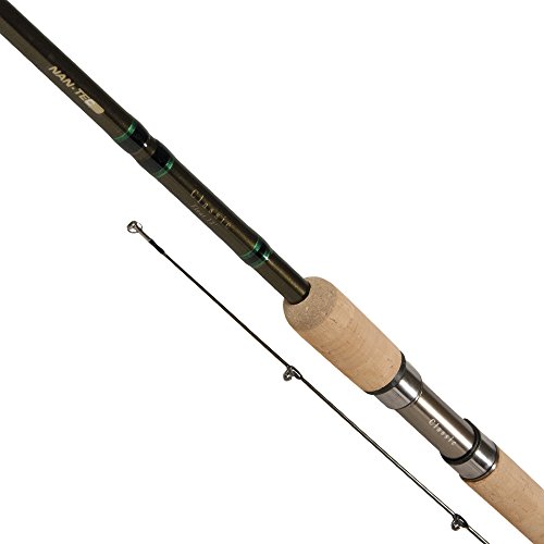 tfg carp rods