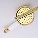 4 Inch Brass Fixed Handheld Shower Head with 60