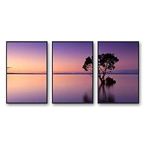 Framed Canvas Wall Art for Living Room, Bedroom Beautiful Nature Norway Landscape Canvas Prints for Modern Home Decoration Ready to Hang - 16"x24"x3 Panels