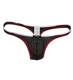 Gregg Homme Affair Hyperstretch Sheer Low Rise Thong (142304)