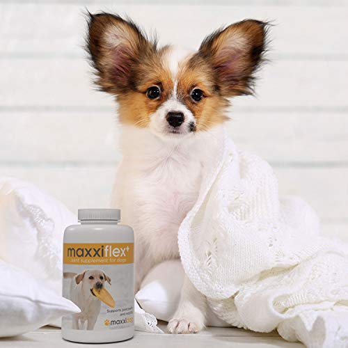 maxxipaws maxxiflex+ Heup- en Gewrichtssupplement voor Honden - 120 Kauwtabletten – Supplementen voor Honden met… - Afbeelding 3