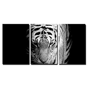 3 Piece Canvas Wall Art - Tiger - Modern Home Art Stretched and Framed Ready to Hang - 16"x24"x3 Panels