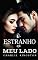 Livro O estranho ao meu lado