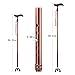 Folding Walking Cane for Men & Women, Ranger5 Pivoting Base Aluminum Alloy Adjustable Sticks