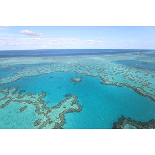 6 Canon+0573C002+Accessory+Backpack+Software