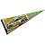 Danica Patrick 9x24 Inch Pennant and Banner