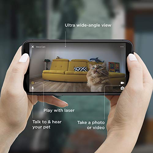 5 Petcube+Camera+Interactive+Full+Room+Alerts