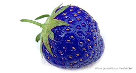 NooElec Seeds India Dwarf Purple Strawberry 10 Seeds Pack Indoor/Outdoor Plant Seeds