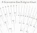8 Generation Circular Pedigree Chart - 5 pack