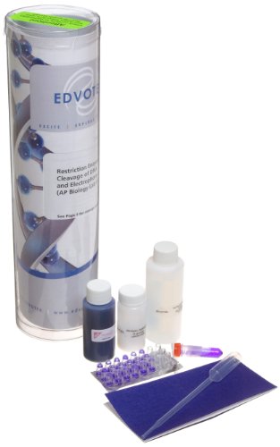 Edvotek 112 Laboratory Kit 6 - Analysis of Eco RI Cleavage Patterns of Lambda DNA for 8 Gels - Thumbnail 2