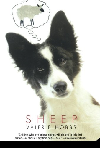 Sheep