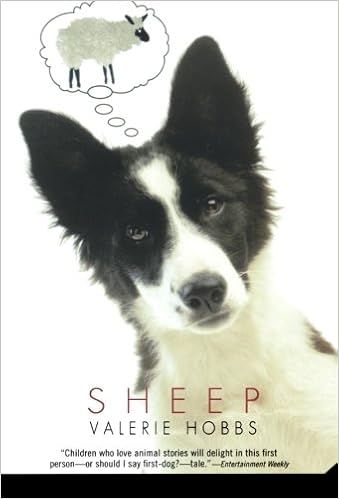 Sheep Valerie Hobbs 9780312561161 Amazoncom Books - 