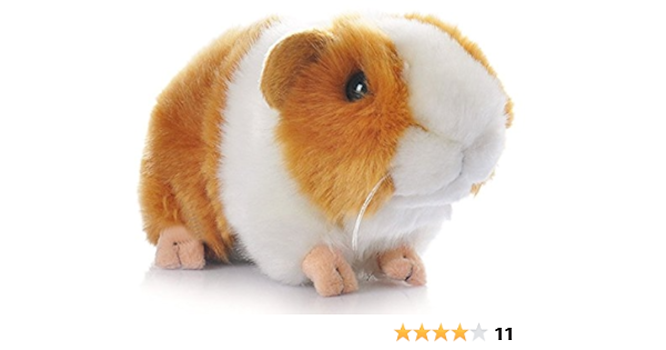 guinea pig accessories amazon