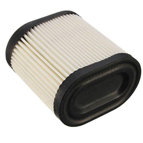 Tecumseh Air 36905 Filter Craftsman Replacement Accessories Lawnmower Machine Lawn Mower Parts
