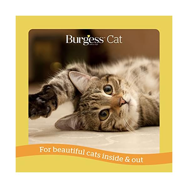 SUPACAT ADULT CHICKEN & DUCK 10KG