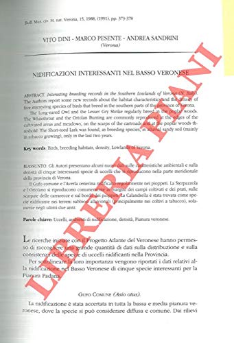 Nidificazioni Interessanti Nel Basso Veronese Dini Vito Pesente Marco Sandrini Andrea Amazon Com Books