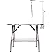 Flying Pig Heavy Duty Stainless Steel Pet Dog Cat Bone Pattern Rubber Surface Grooming Table with Arm/Noose (Black, 38
