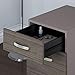 Bush Furniture Commerce 2 Drawer Mobile File Cabinet in Cocoa and Pewter