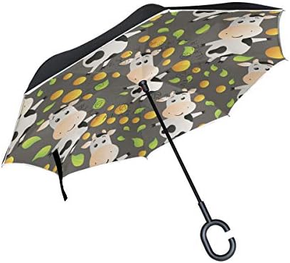 蛾 構造 割り当てる 傘 通販 かわいい Estivaletart Com