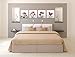 Moyedecor Art - 4 Panel Elegant Tulip Flower Canvas Print Wall Art Painting For Living Room Decor And Modern Home Decorations (Four 12X12in, Red flower)