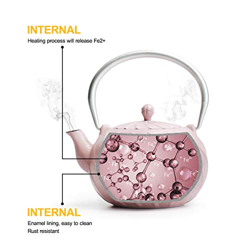Tea Kettle, TOPTIER Japanese Cast Iron Tea Kettle with Infuser for