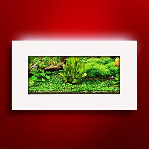 Aussie Aquariums 2.0 Wall Mounted Aquarium - View