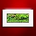 Aussie Aquariums AA-MINIVIEW-MWHITE 2.0 Wall Mounted Aquarium, Matte Whitethumb 1