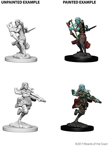 NECAD&D Nolzurs Marvelous Unpainted Miniatures: Wave 4: Air Genasi Female Rogue