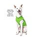 Gooby - Fleece Vest, Small Dog Pullover Fleece Jacket with Leash Ring, Lime, Small
