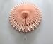 SANNIX Hanging Paper Fan Decorations Celebration Party Decoration Honeycomb Tissue Paper Fans for Birthday Wedding Events Accessories Backdrop Decor 6 PCs,12 inch,Peach