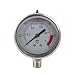 YZM Stainless Steel 304 Single Scale Liquid Filled Pressure Gauge with Brass Internals, 2-1/2" Dial Display, -1.5% Accuracy, 1/4" NPT Bottom Mount,Water Pressure Gauge. (0-150 psi) primary