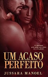 Livro Um Acaso Perfeito (Livro Único)