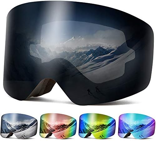interchangeable ski goggles