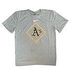 Nike Men's MLB Dri-FIT Logo Legend T-Shirt