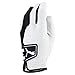 Puma Golf 2018 Men's Pro Formation Hybrid Golf Glove (Bright White-Puma Black, Large, Left Hand)